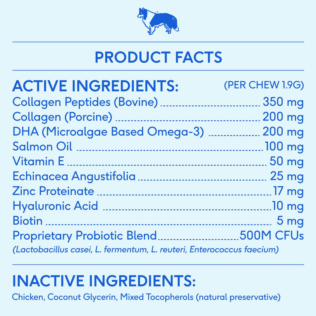 Skin + Coat Chews, Skin & Coat Supplement for Dogs: 30ct