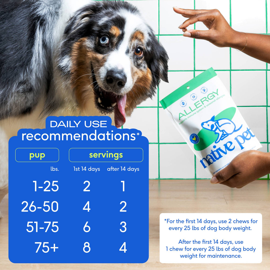 Allergy & Immune Relief Supplement
