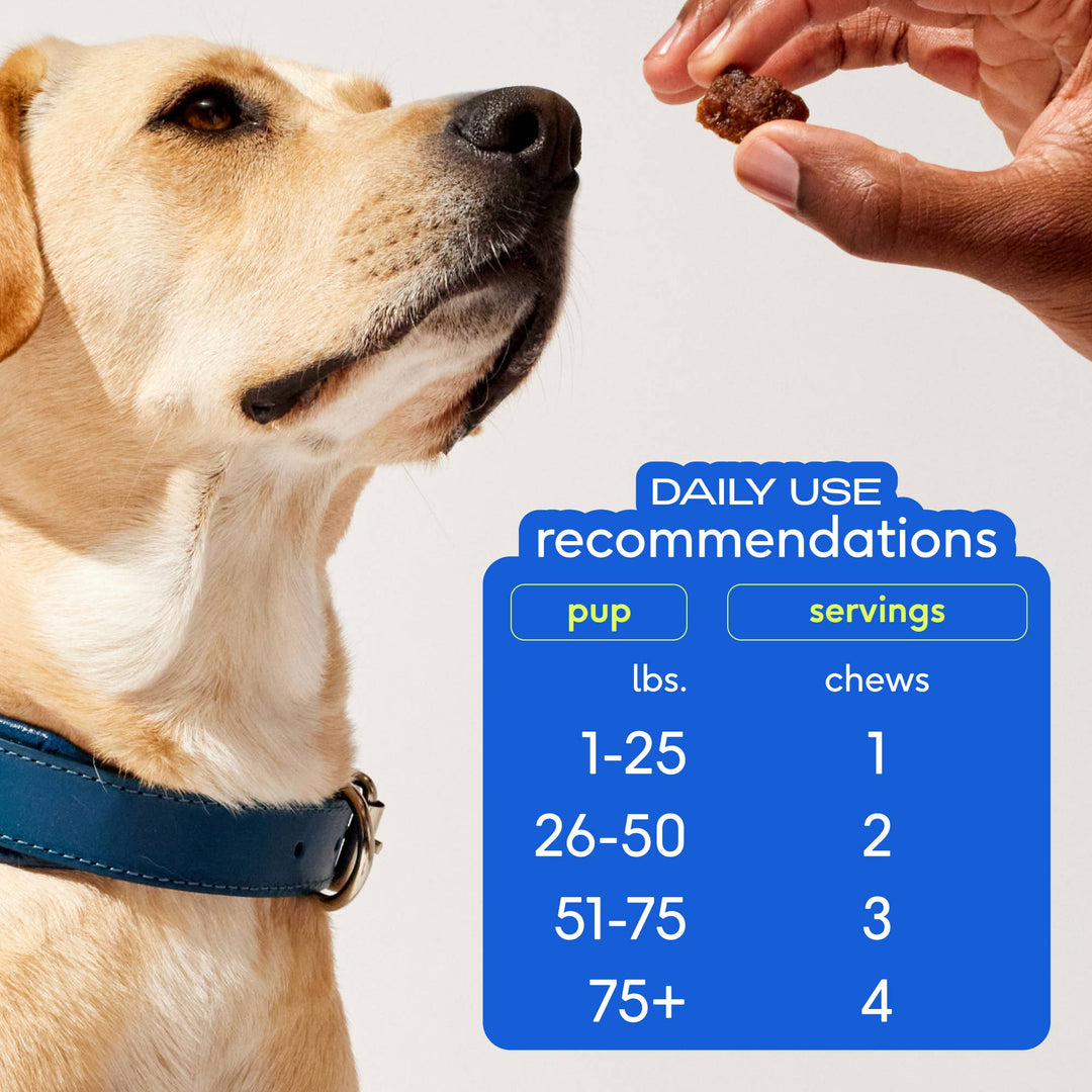 Skin + Coat Chews, Skin & Coat Supplement for Dogs: 30ct