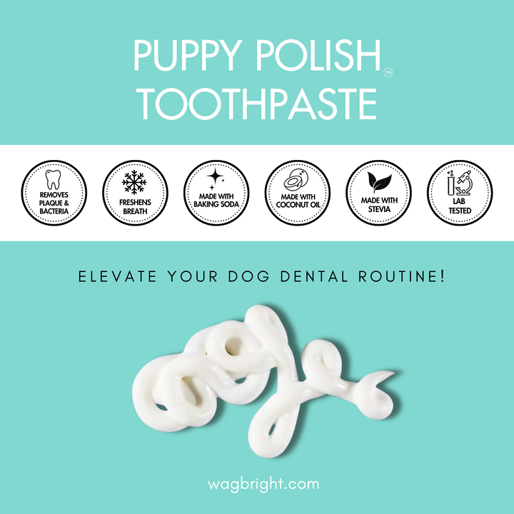 Puppy Polish Toothpaste - Filet Mignon (Beef)