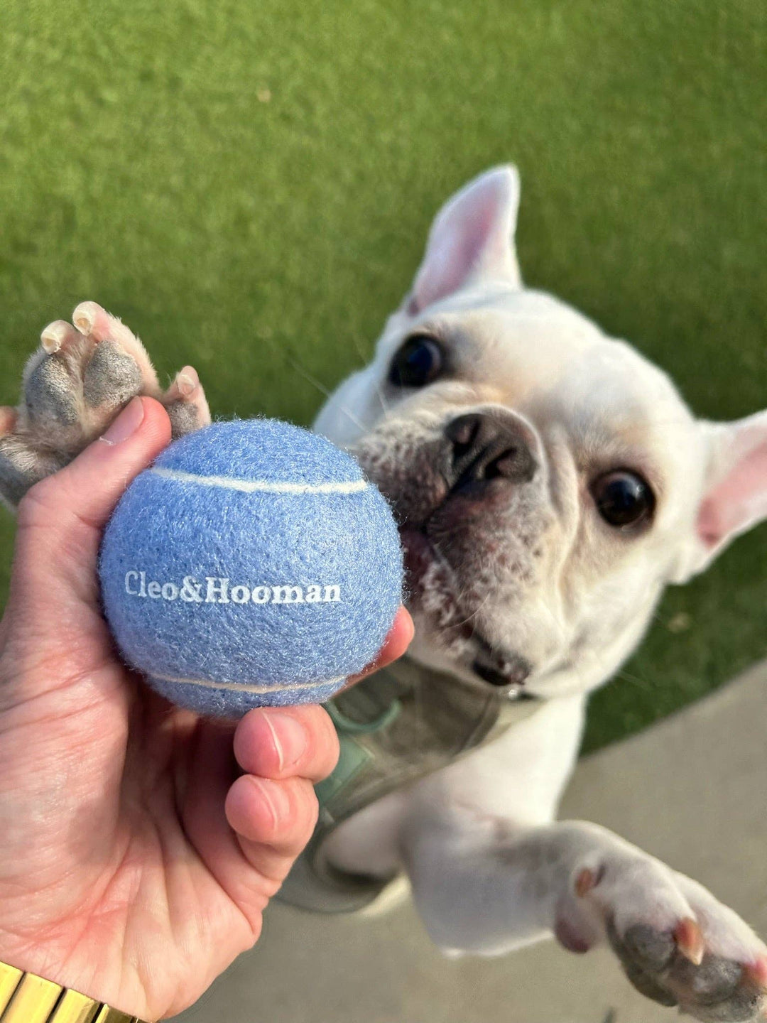 Tennis Ball Holder