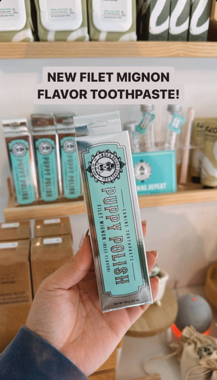 Puppy Polish Toothpaste - Filet Mignon (Beef)