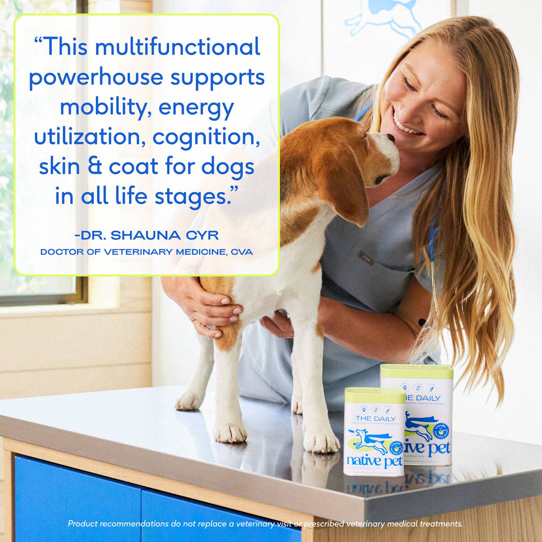 The Daily Powder Supplement, 11-in-1 Multivitamins for Dogs: 7oz