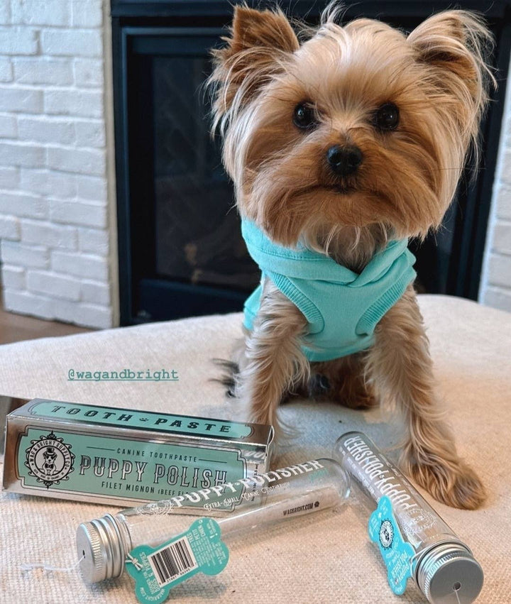 Puppy Polish Toothpaste - Filet Mignon (Beef)