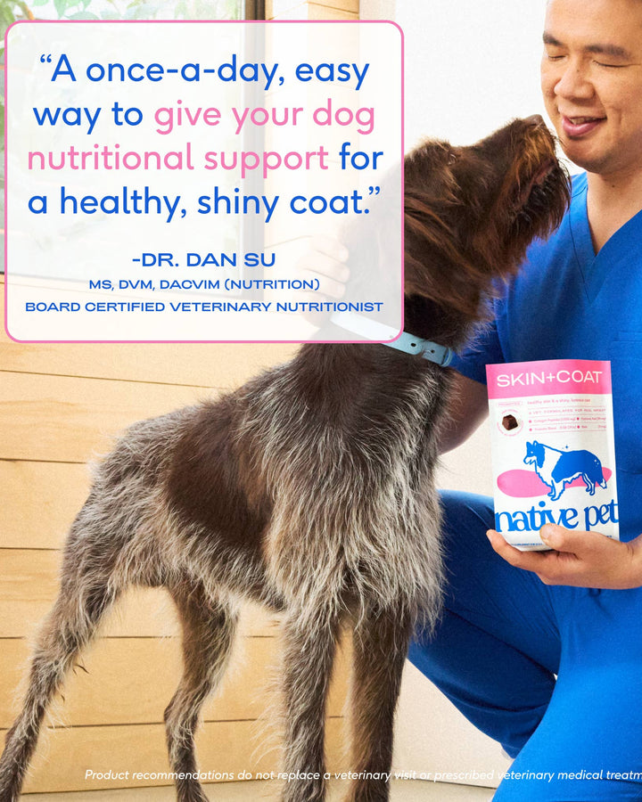 Skin + Coat Chews, Skin & Coat Supplement for Dogs: 30ct
