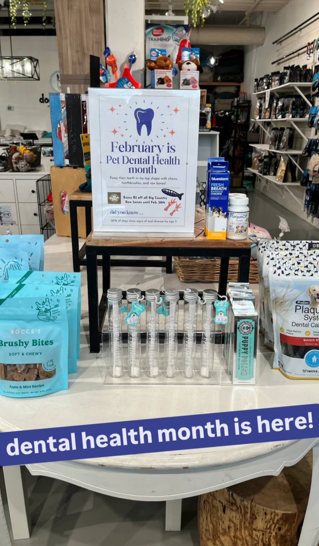 Puppy Polish Toothpaste - Filet Mignon (Beef)