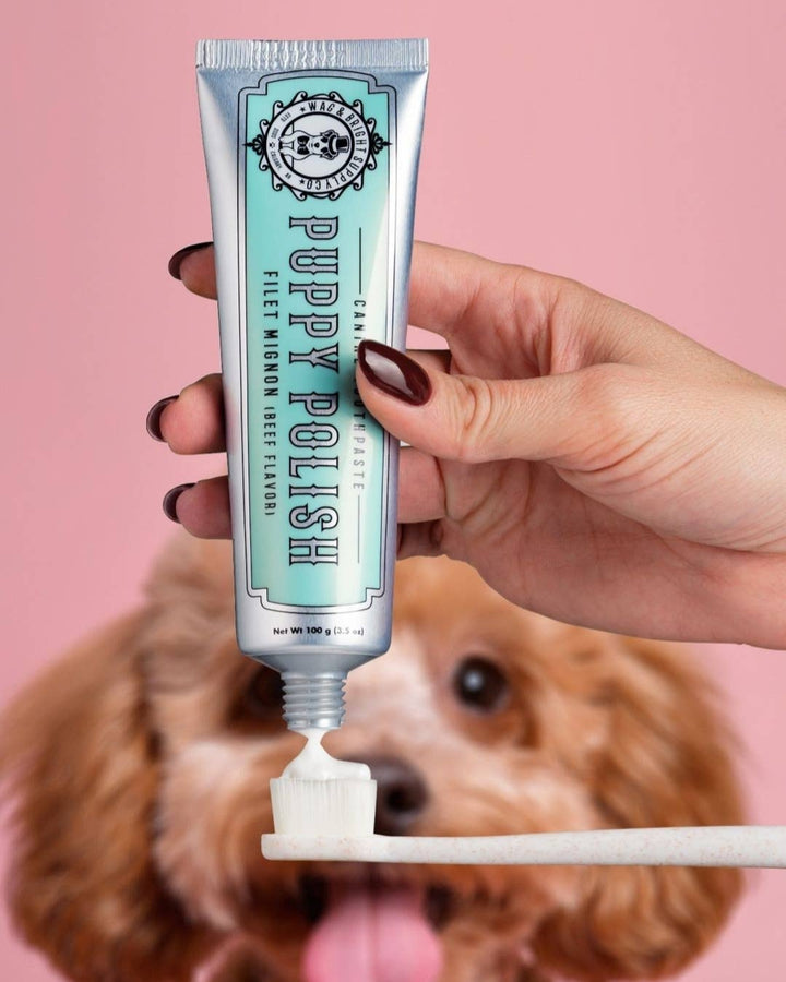Puppy Polish Toothpaste - Filet Mignon (Beef)