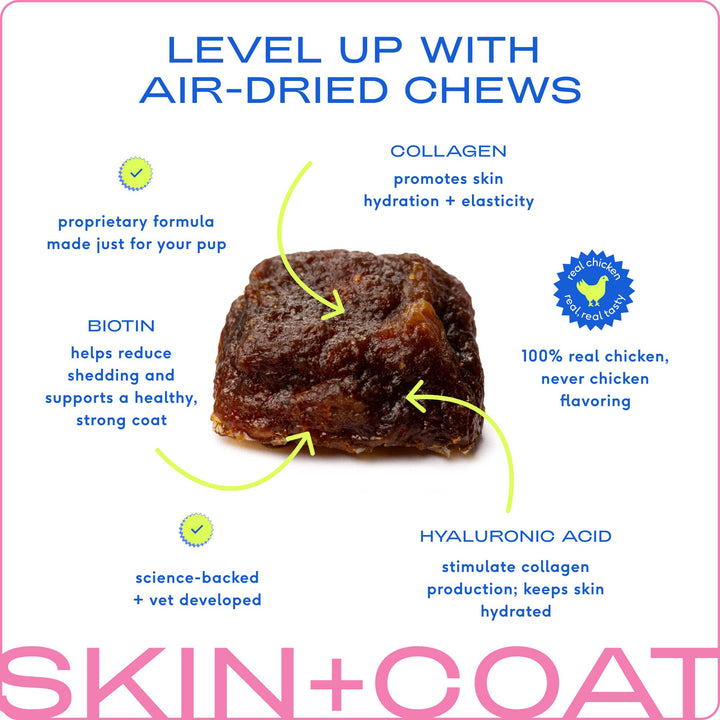 Skin + Coat Chews, Skin & Coat Supplement for Dogs: 30ct