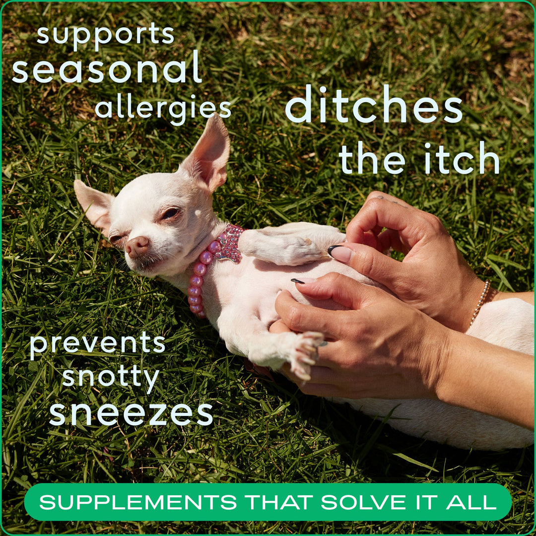 Allergy & Immune Relief Supplement