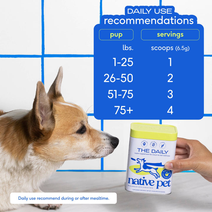 The Daily Powder Supplement, 11-in-1 Multivitamins for Dogs: 7oz
