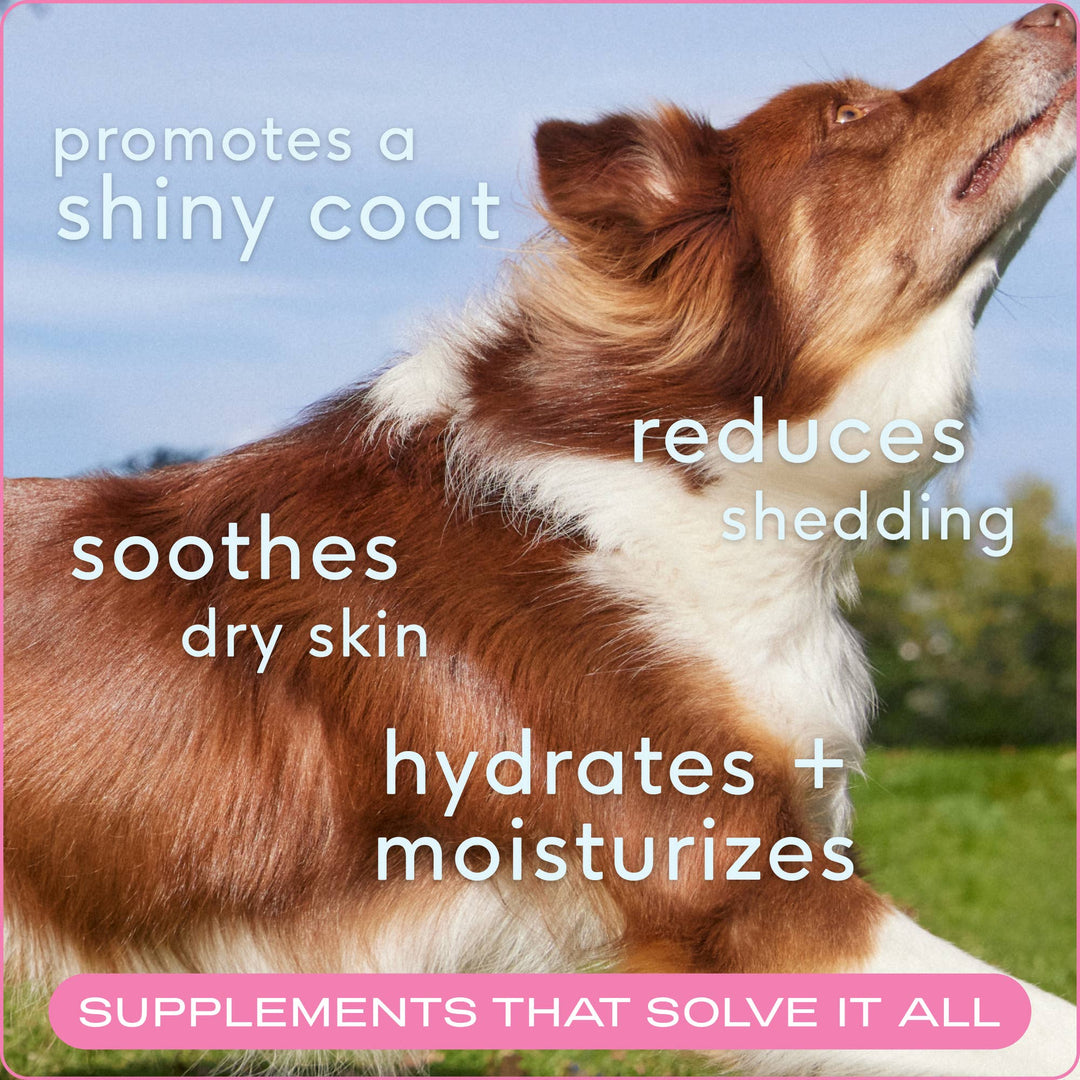 Skin + Coat Chews, Skin & Coat Supplement for Dogs: 30ct