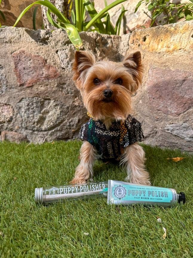 Puppy Polisher Pearl Eco Toothbrush - (Extra Small)